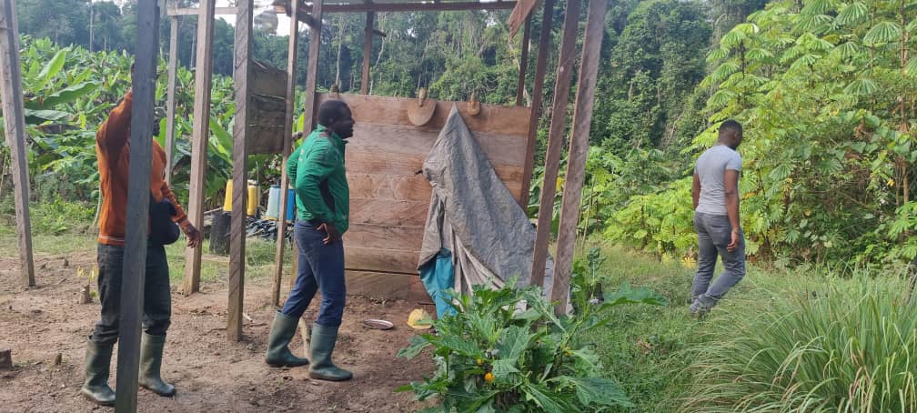 Abri de réception et préparation en plantation KFTM Green